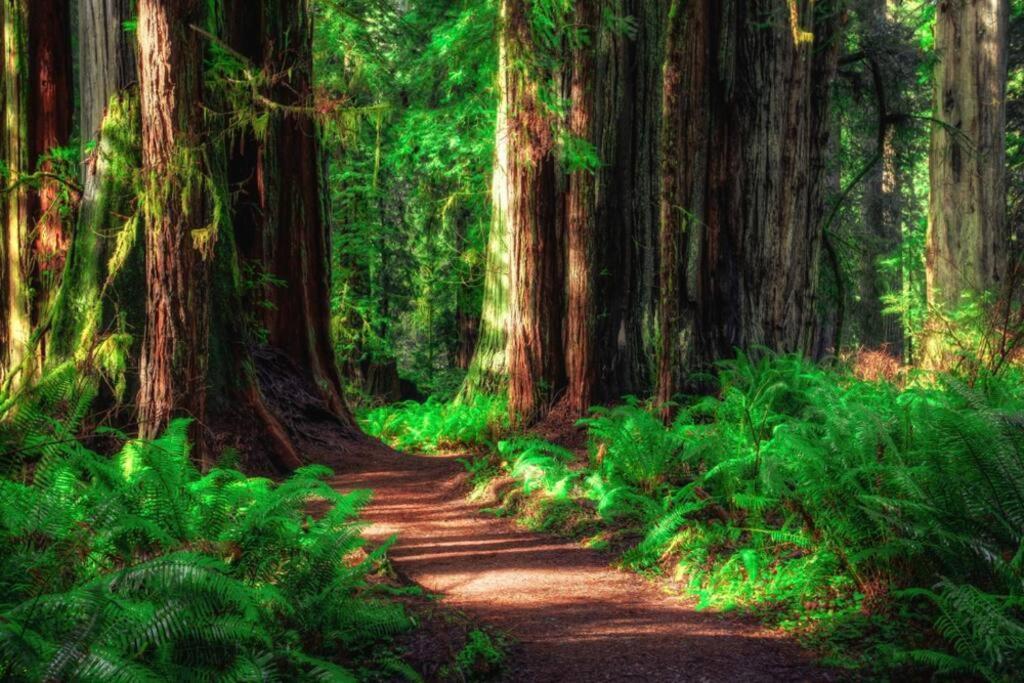 Bear Mountain - Suite 2 Grants Pass Esterno foto